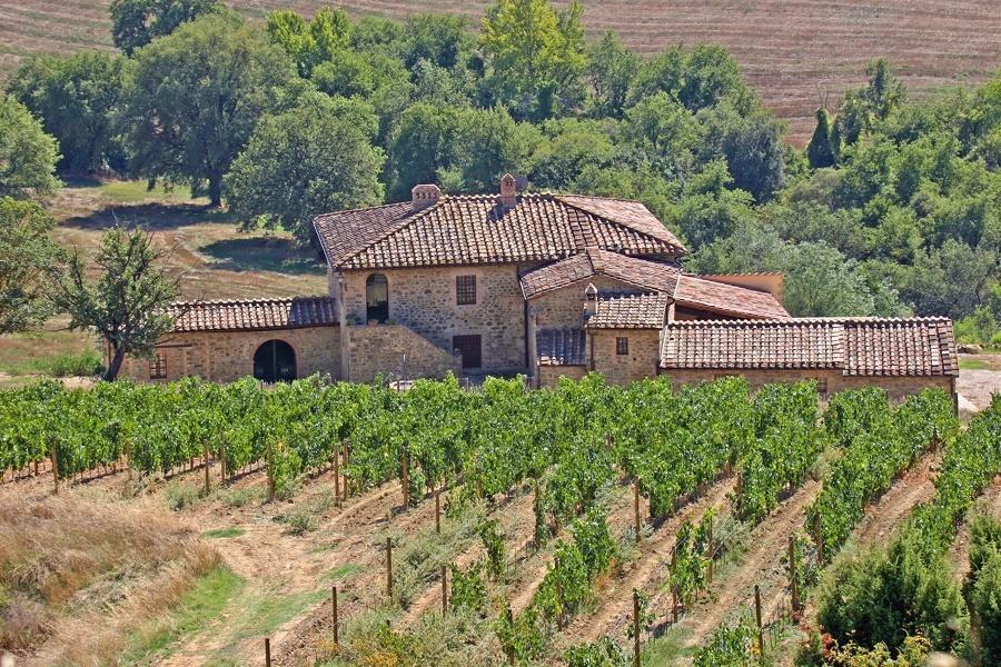 Villa Renieri Монтальчино Экстерьер фото